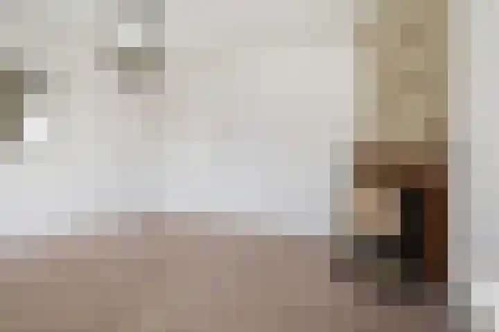 Fonteinstrjitte 46 Holwert thumbnail 18