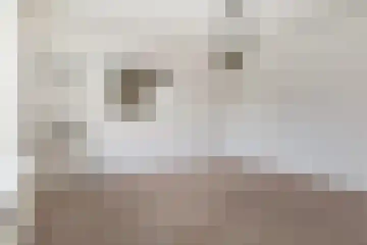 Fonteinstrjitte 46 Holwert thumbnail 21
