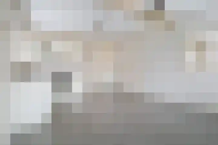Fonteinstrjitte 46 Holwert thumbnail 22