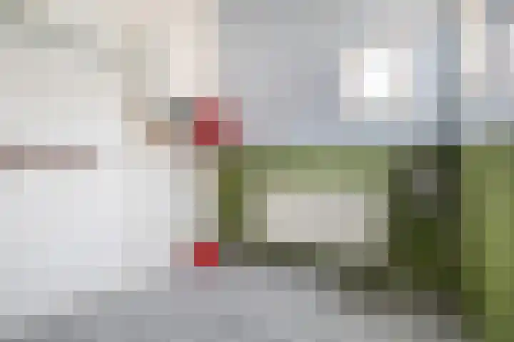 Fonteinstrjitte 46 Holwert thumbnail 29
