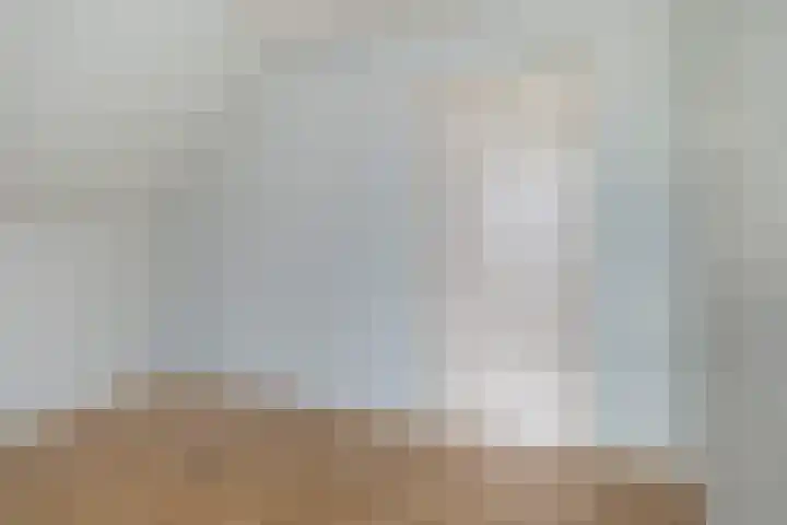 Fonteinstrjitte 46 Holwert thumbnail 34