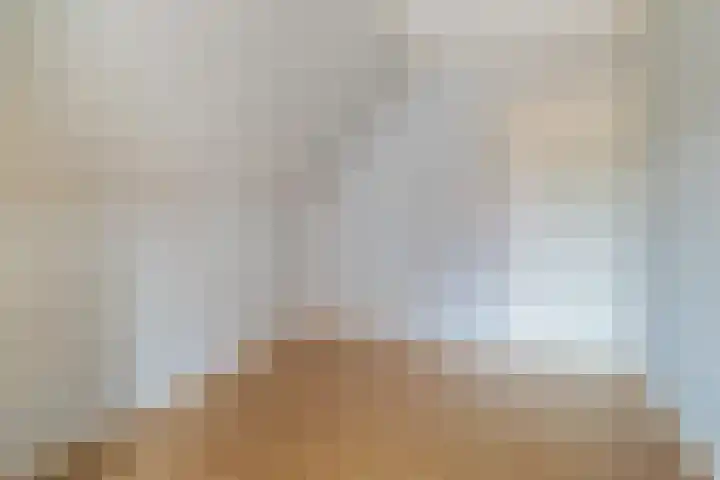 Fonteinstrjitte 46 Holwert thumbnail 36