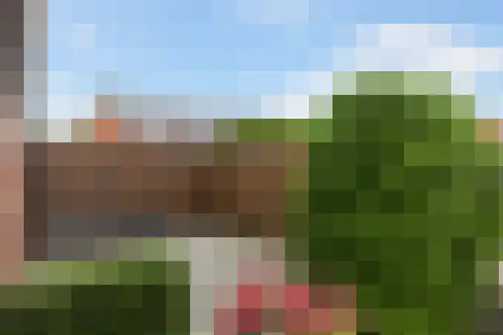 Fonteinstrjitte 46 Holwert thumbnail 39