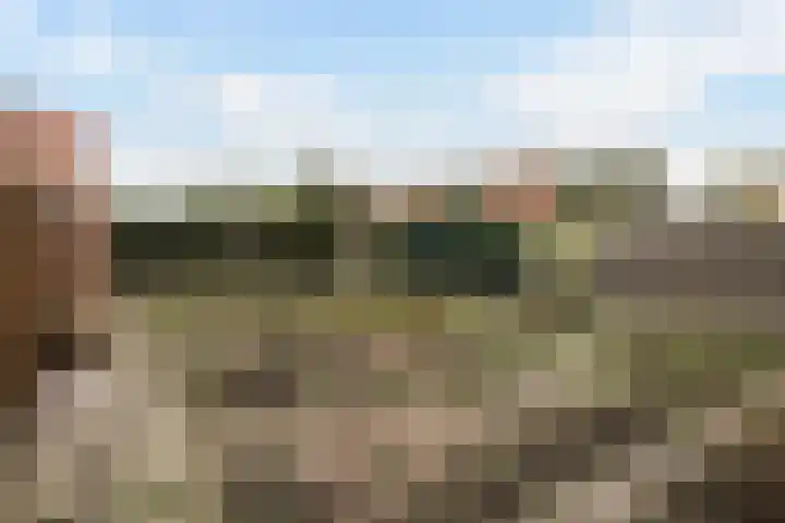 Fonteinstrjitte 46 Holwert thumbnail 40