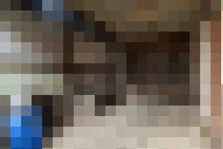 Fonteinstrjitte 46 Holwert thumbnail 47