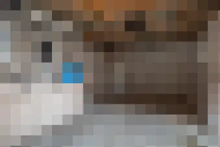 Fonteinstrjitte 46 Holwert thumbnail 48
