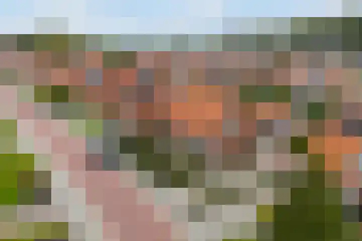 Fonteinstrjitte 46 Holwert thumbnail 49