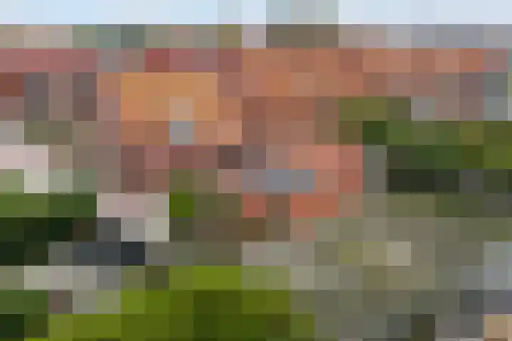 Fonteinstrjitte 46 Holwert thumbnail 5