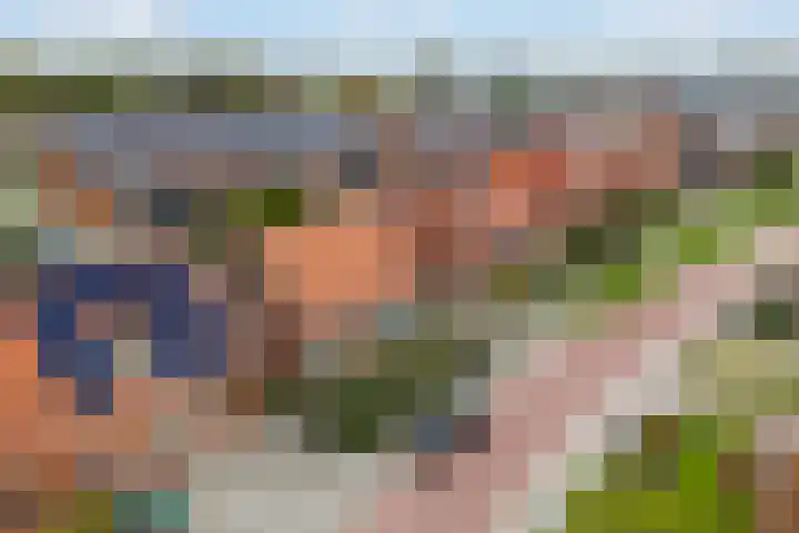 Fonteinstrjitte 46 Holwert thumbnail 50