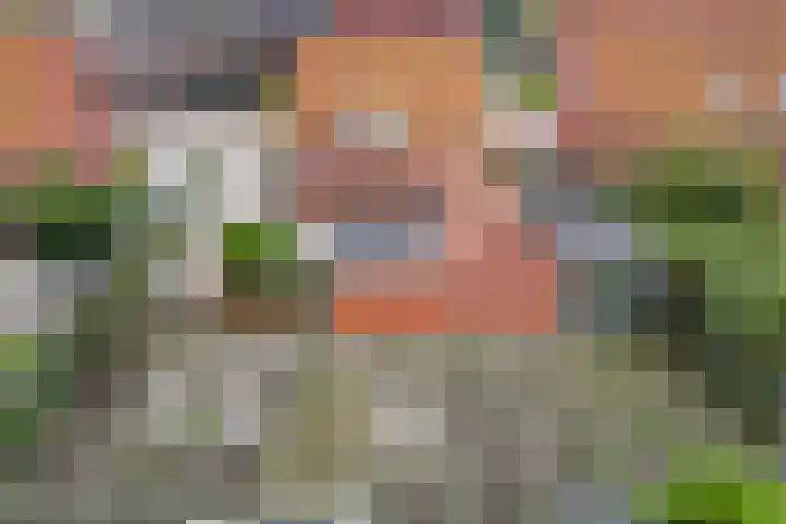 Fonteinstrjitte 46 Holwert thumbnail 52