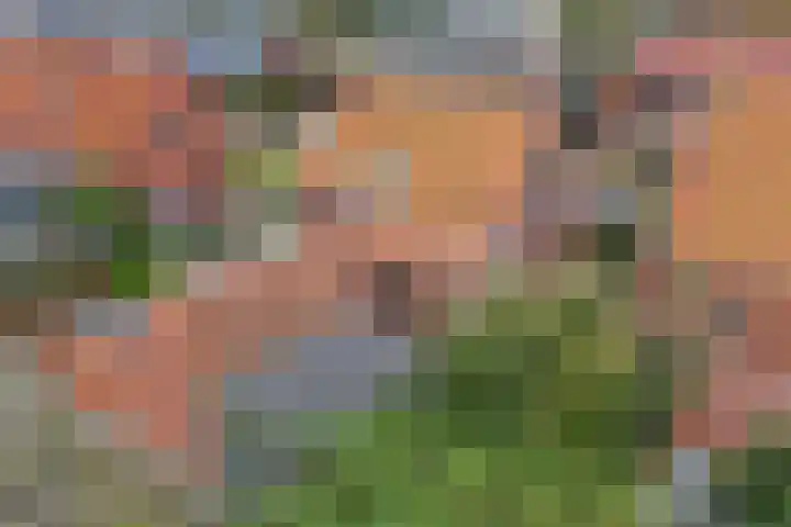 Fonteinstrjitte 46 Holwert thumbnail 53
