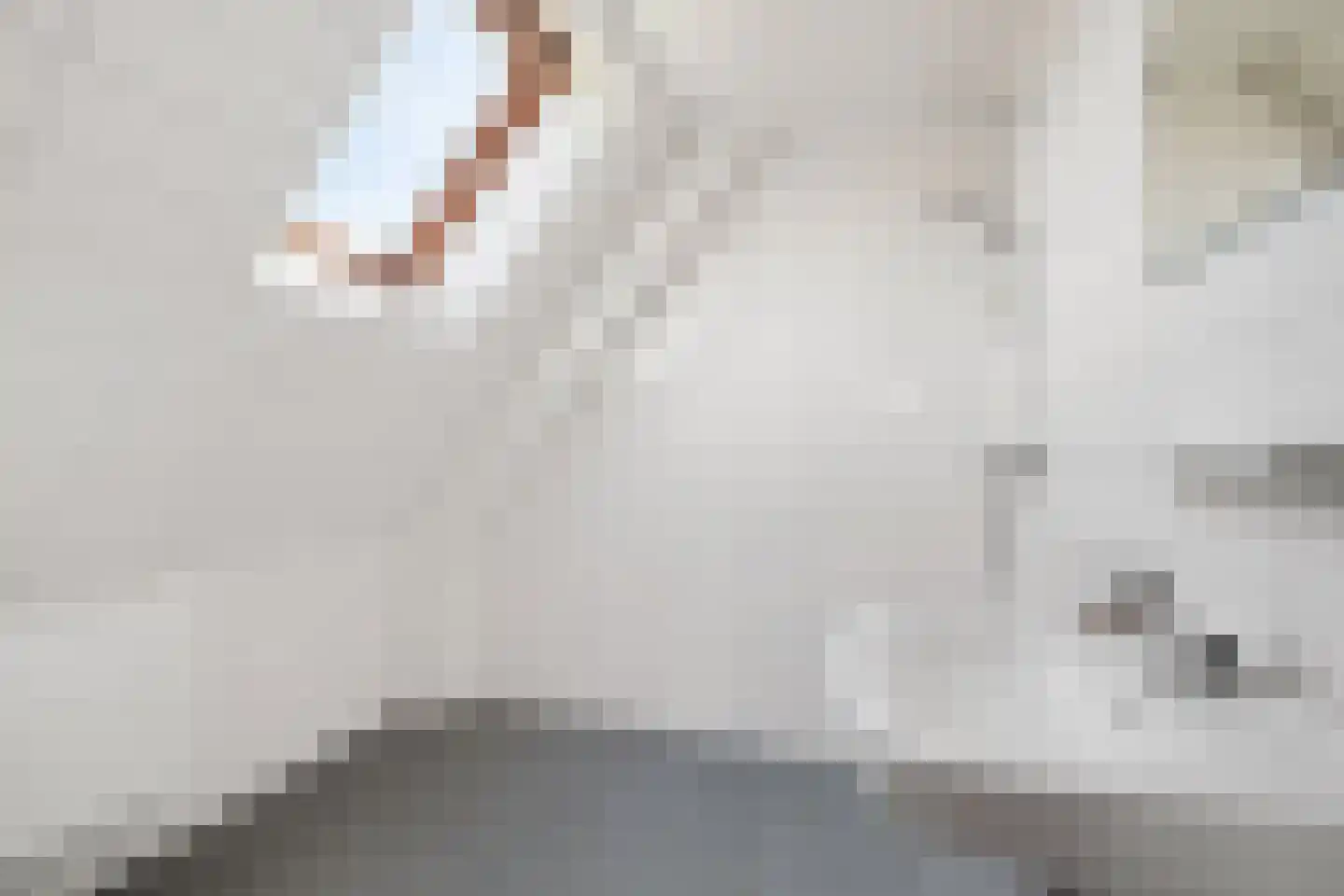 Fonteinstrjitte 48 Holwert thumbnail 21