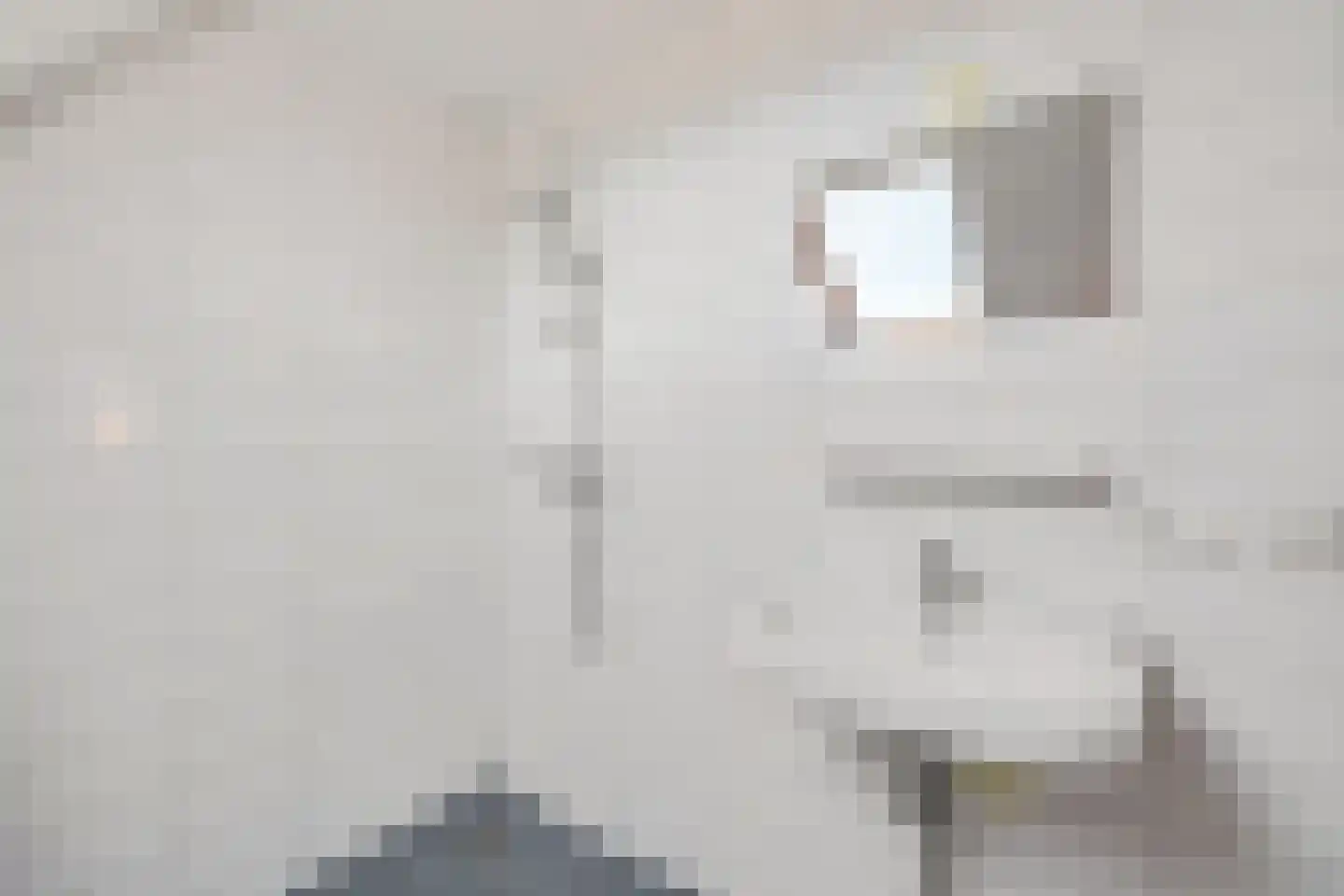 Fonteinstrjitte 48 Holwert thumbnail 22