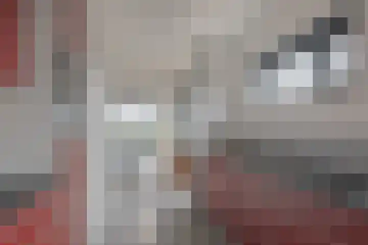 Fonteinwater 39 Houten thumbnail 14