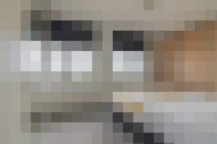 Fonteinwater 39 Houten thumbnail 16