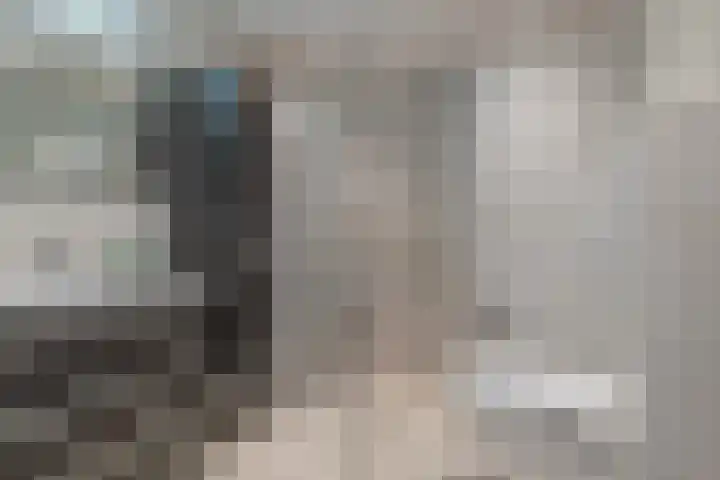 Fonteinwater 39 Houten thumbnail 20