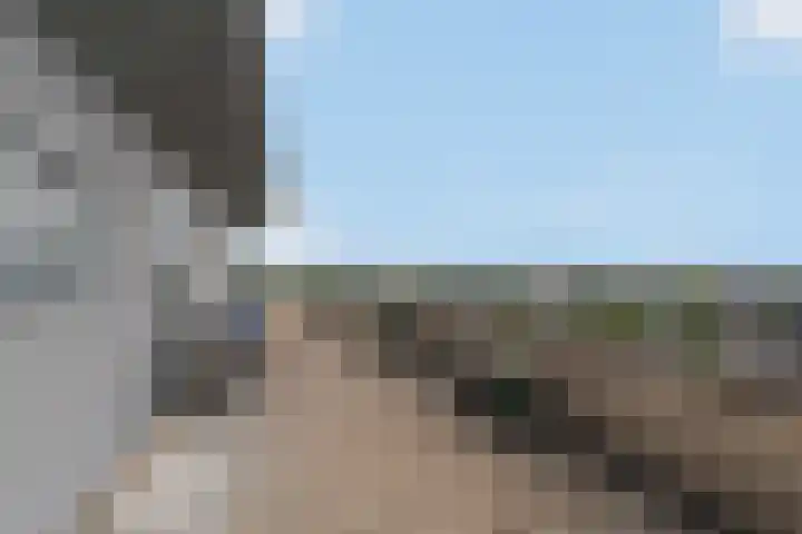Fonteinwater 39 Houten thumbnail 23