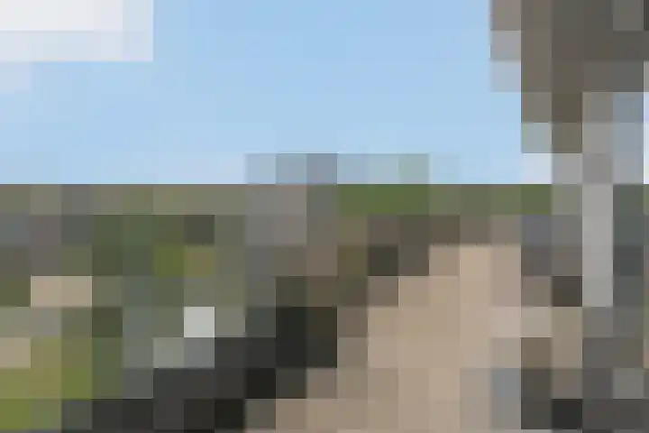 Fonteinwater 39 Houten thumbnail 24