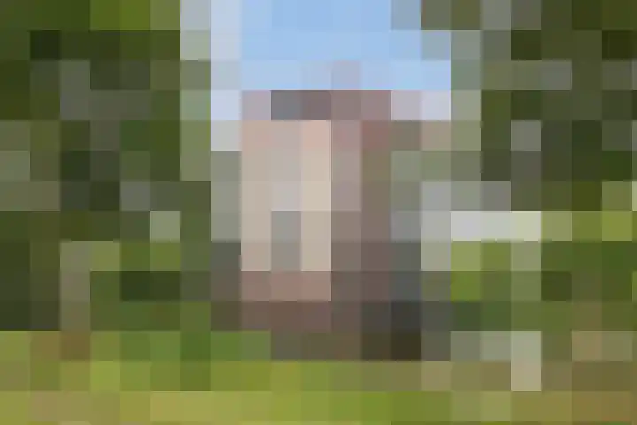 Fonteinwater 39 Houten thumbnail 26