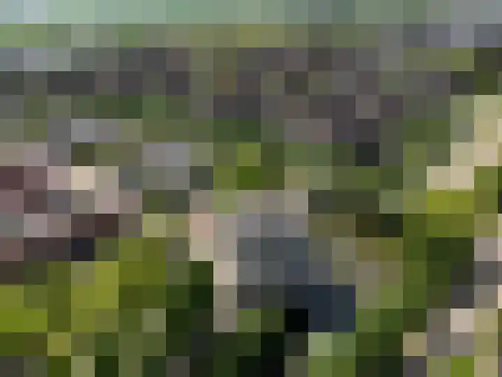 Fonteinwater 39 Houten thumbnail 28
