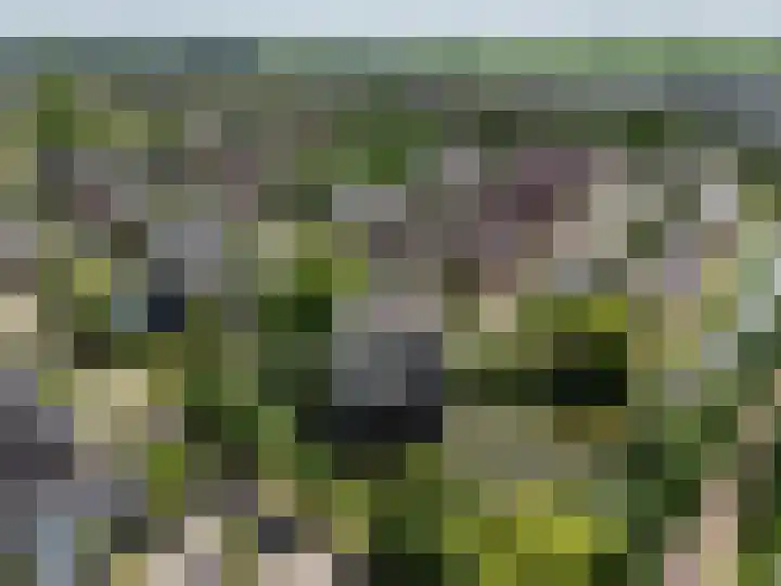 Fonteinwater 39 Houten thumbnail 29
