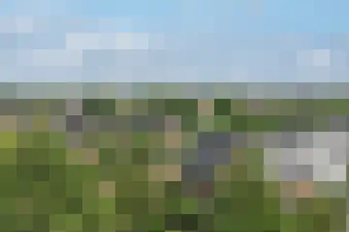 Fonteinwater 39 Houten thumbnail 30