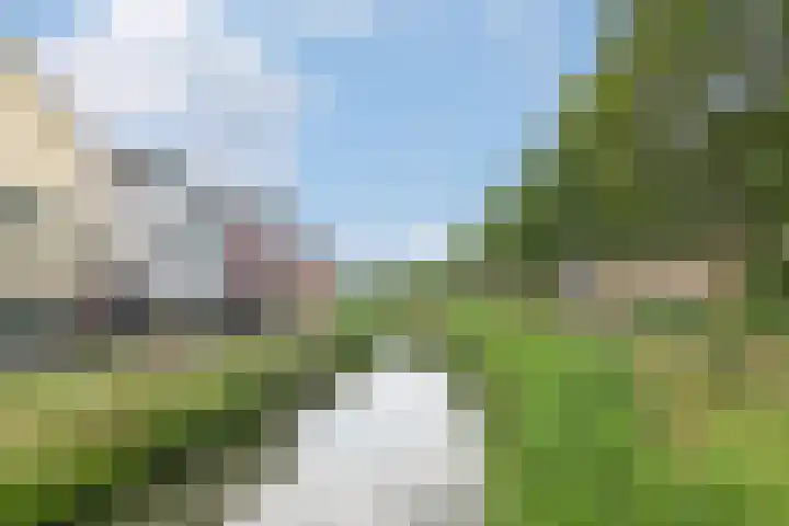 Fonteinwater 39 Houten thumbnail 31