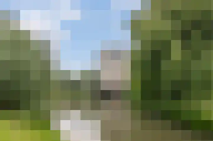 Fonteinwater 39 Houten thumbnail 33
