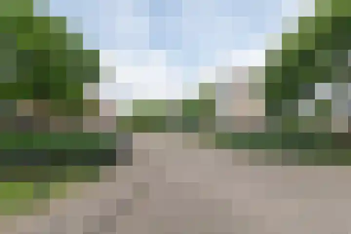 Fonteinwater 39 Houten thumbnail 34