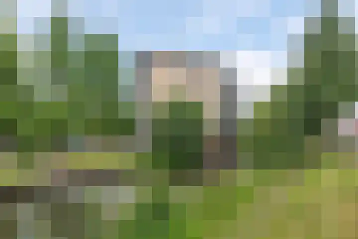 Fonteinwater 39 Houten thumbnail 35
