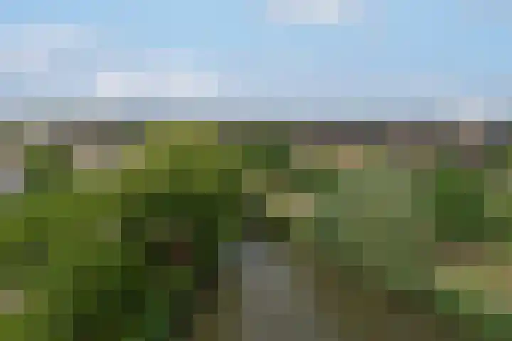 Fonteinwater 39 Houten thumbnail 36