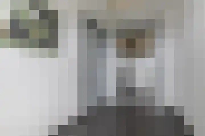 Fonteinwater 39 Houten thumbnail 4
