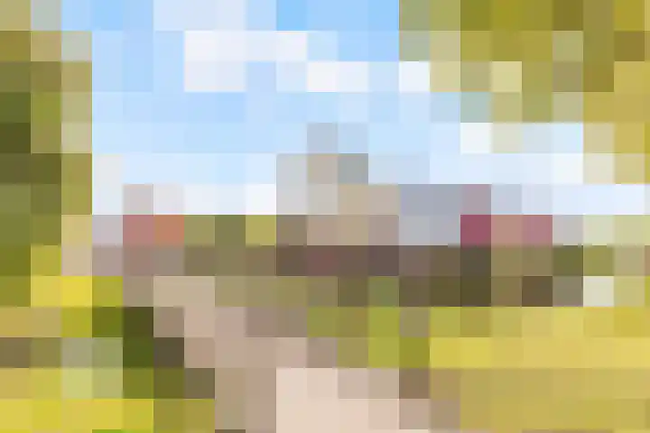 Fonteinwater 63 Houten thumbnail 4