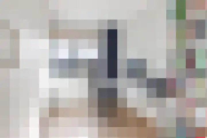 Fonteinwater 63 Houten thumbnail 43