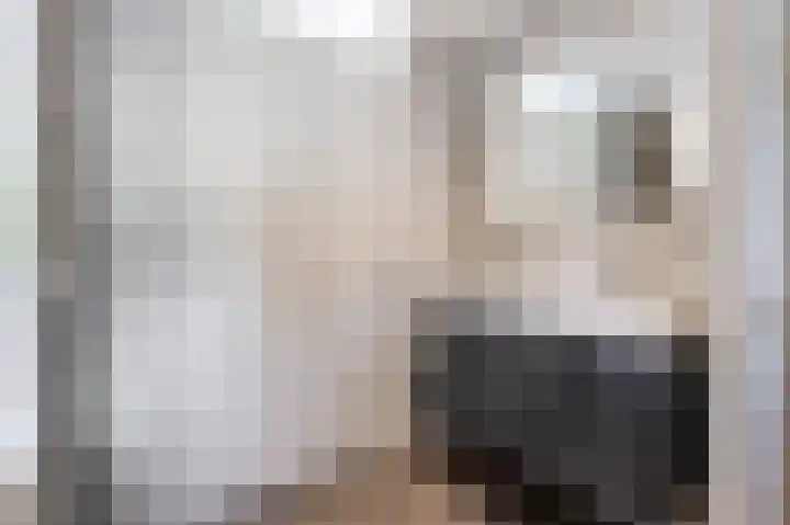 Fonteinwater 63 Houten thumbnail 45