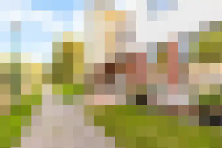 Fonteinwater 63 Houten thumbnail 5