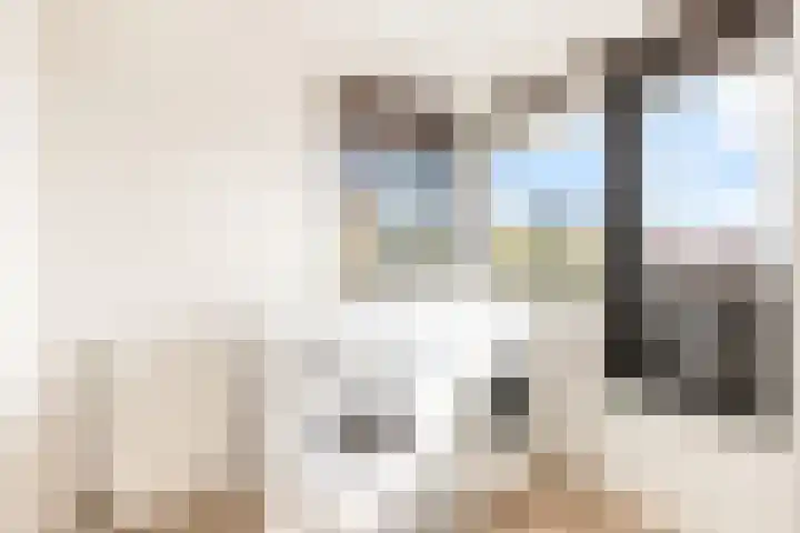 Fonteinwater 63 Houten thumbnail 51