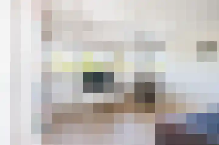 Fonteinwater 63 Houten thumbnail 52