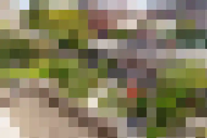 Fonteinwater 63 Houten thumbnail 60