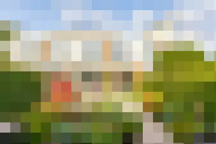 Fonteinwater 63 Houten thumbnail 62