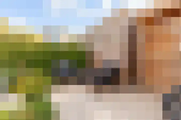 Fonteinwater 63 Houten thumbnail 65