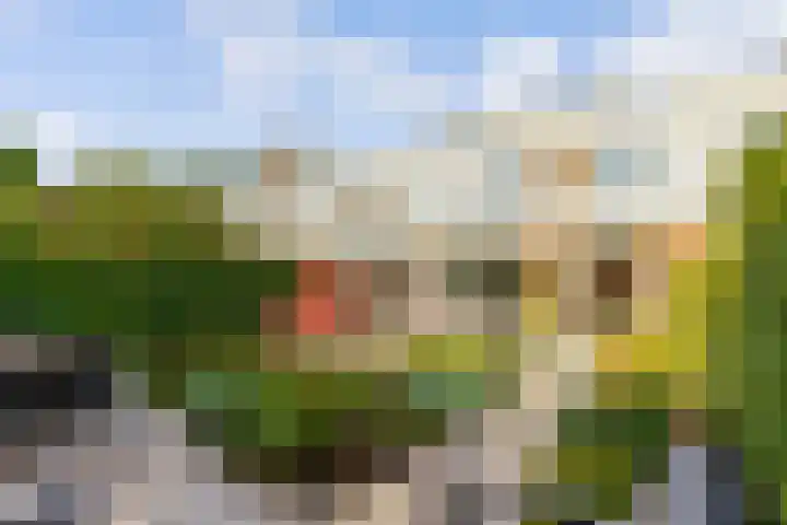 Fonteinwater 63 Houten thumbnail 66