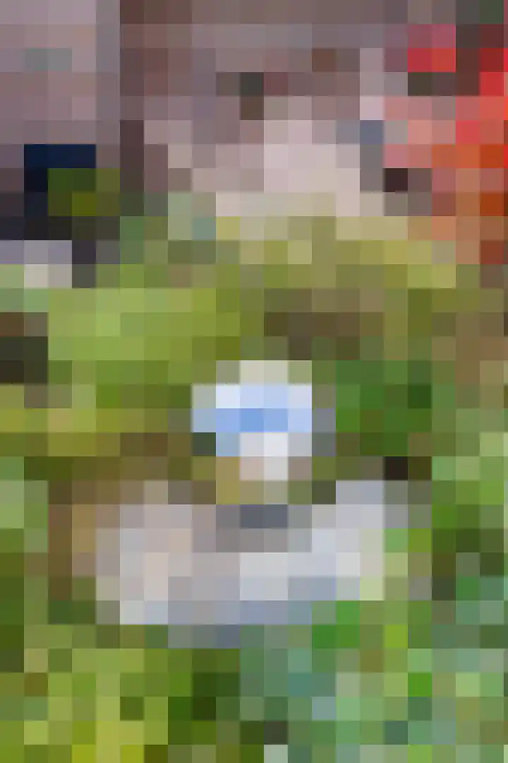 Fonteinwater 63 Houten thumbnail 68