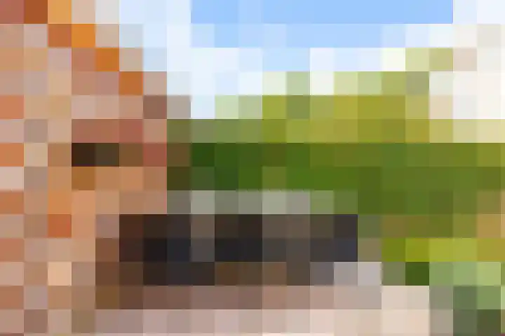 Fonteinwater 63 Houten thumbnail 69