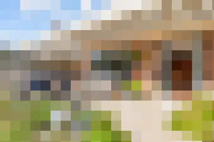 Fonteinwater 63 Houten thumbnail 72