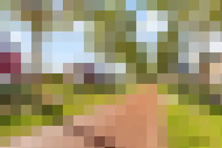 Fonteinwater 63 Houten thumbnail 79