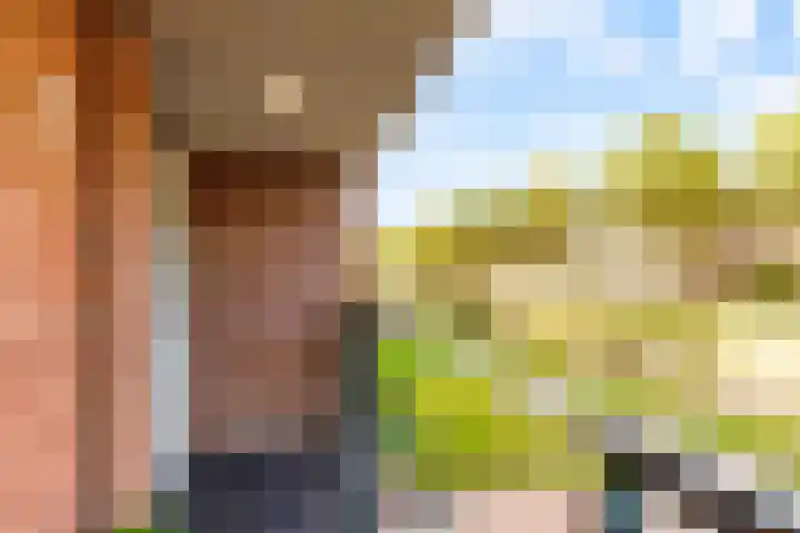Fonteinwater 63 Houten thumbnail 8
