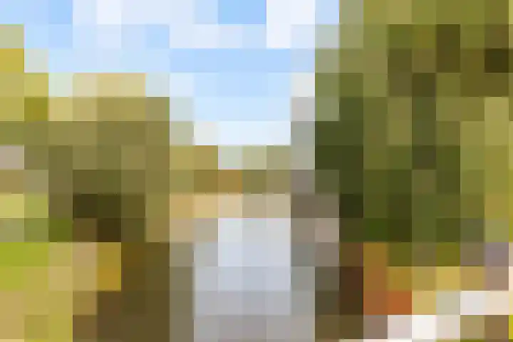 Fonteinwater 63 Houten thumbnail 80