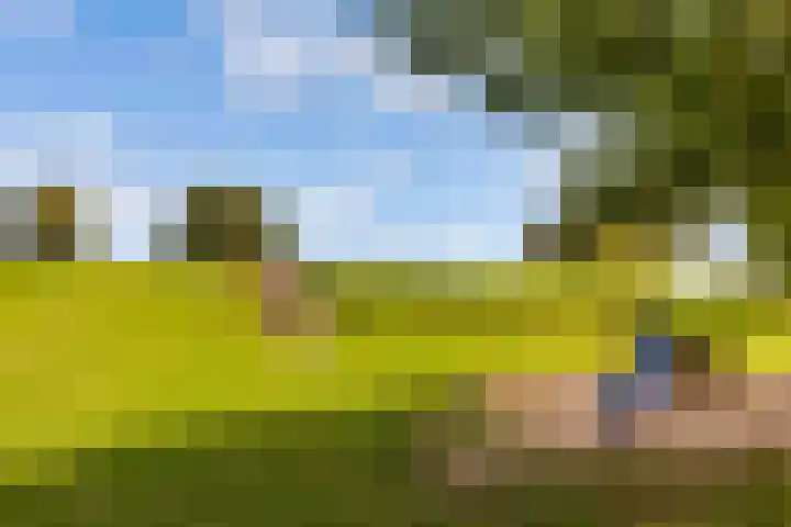 Fonteinwater 63 Houten thumbnail 81