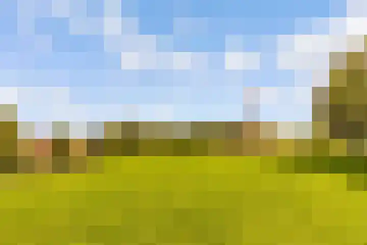 Fonteinwater 63 Houten thumbnail 82